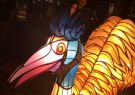 White Night Geelong - Emu