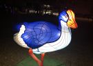 White Night Geelong - Duck