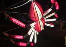 White Night Geelong - Spider