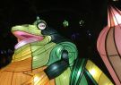 White Night Geelong - Frog