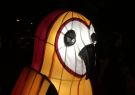White Night Geelong - Owl