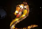 White Night Geelong - Snake