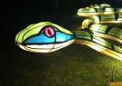 White Night Geelong - Snake