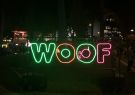 White Night Geelong - Neon Dog Park