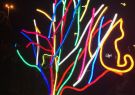 White Night Geelong - Neon Dog Park