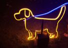 White Night Geelong - Neon Dog Park