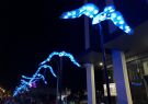 White Night Geelong - Gheringhap Street