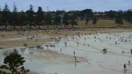 Torquay beach