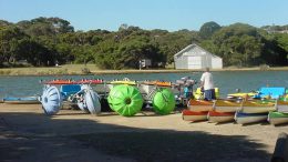 anglesea paddle boats