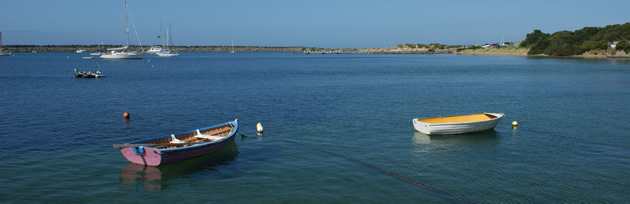 apollo-bay-fishing