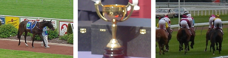 Geelong Cup