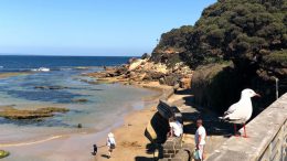 Point Lonsdale beach
