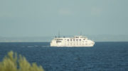 Queenscliff Sorrento Ferry
