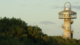 Queenscliff lookout